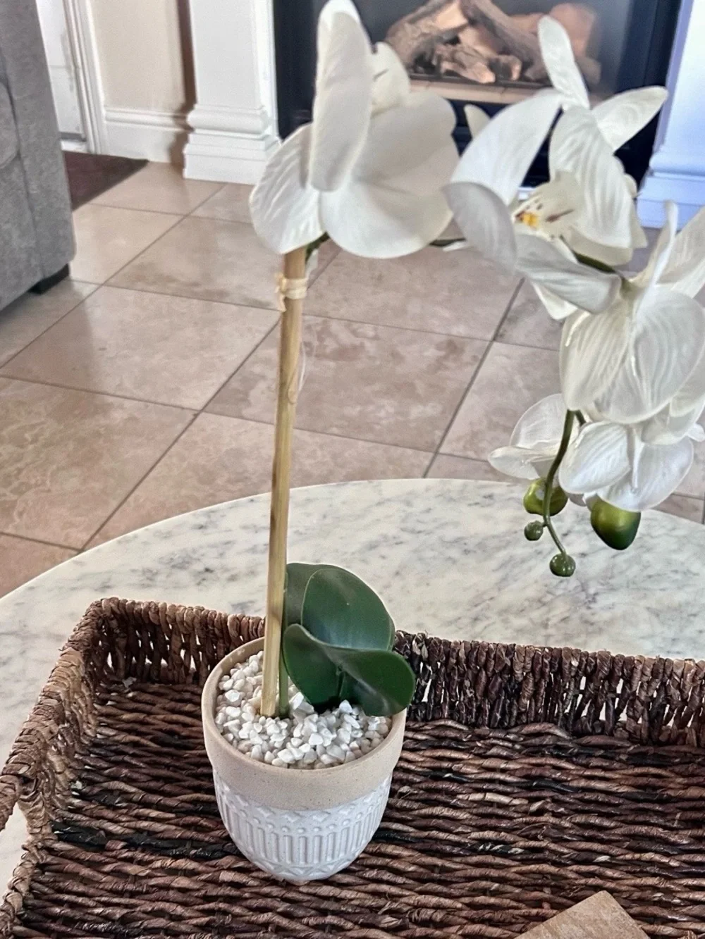 Artificial Phalaenopsis Moth Orchids In Decorative White Pot